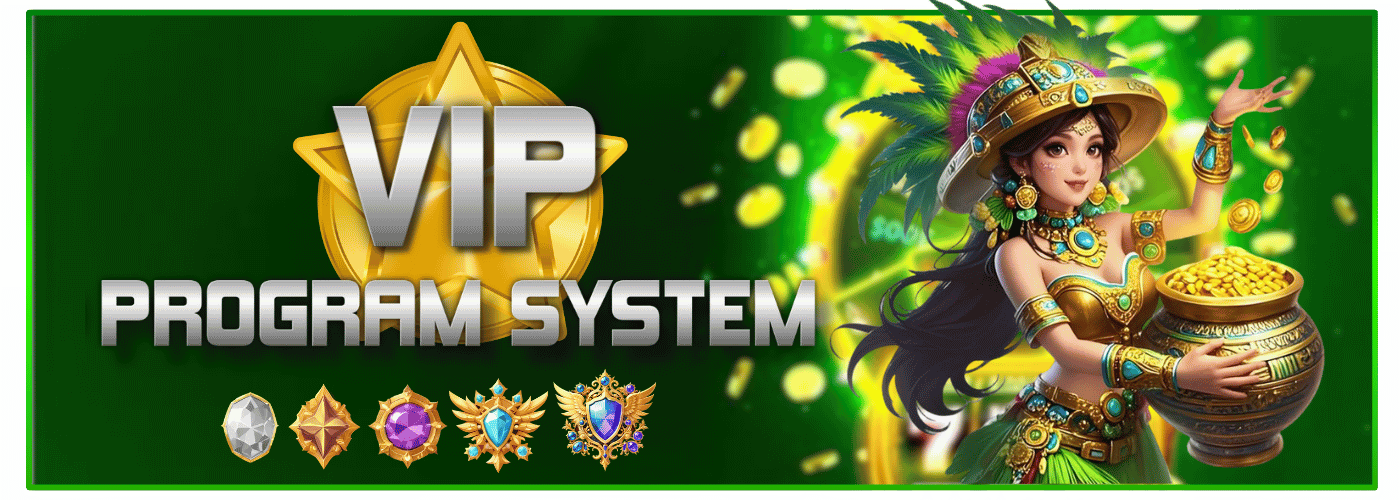 VIP Program Model Image